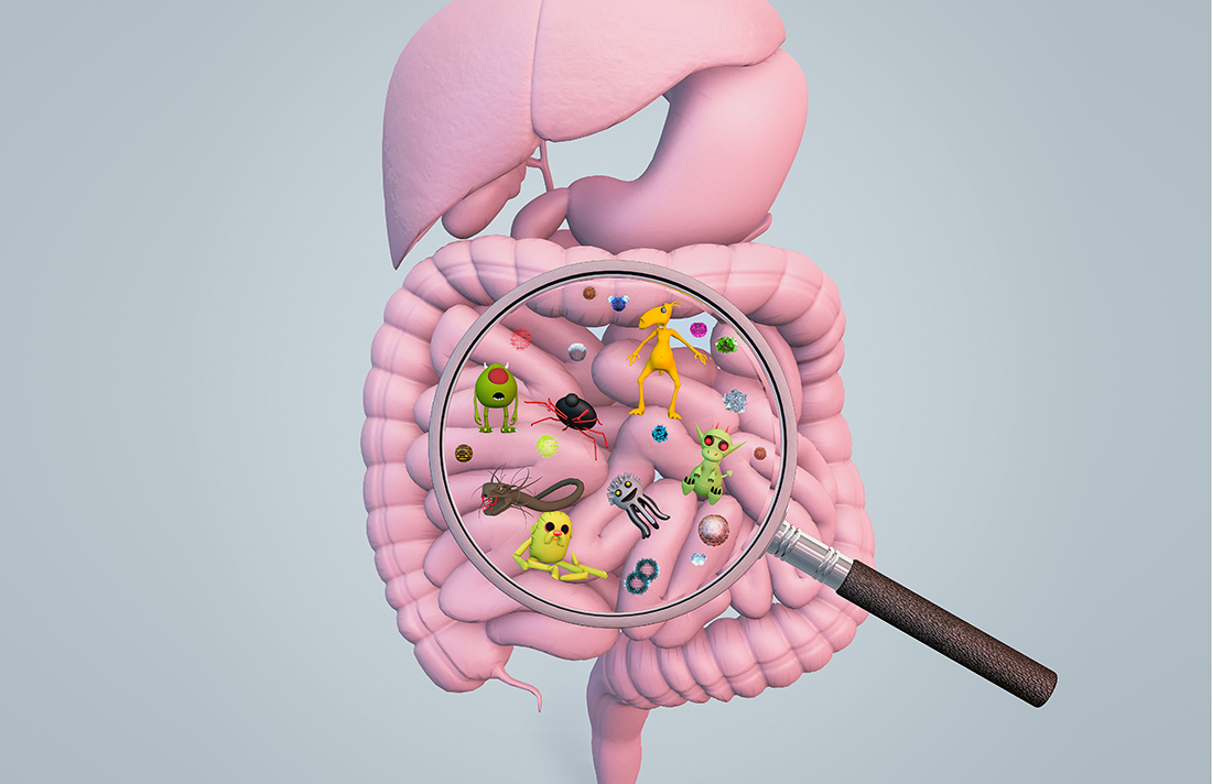 Tu microbiota intestinal…  Foto: Transferencia Tec